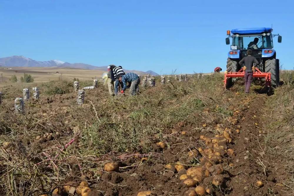 T&uuml;rkiye&rsquo;de 8 bin 933 tarımsal ama&ccedil;lı kooperatif bulunuyor