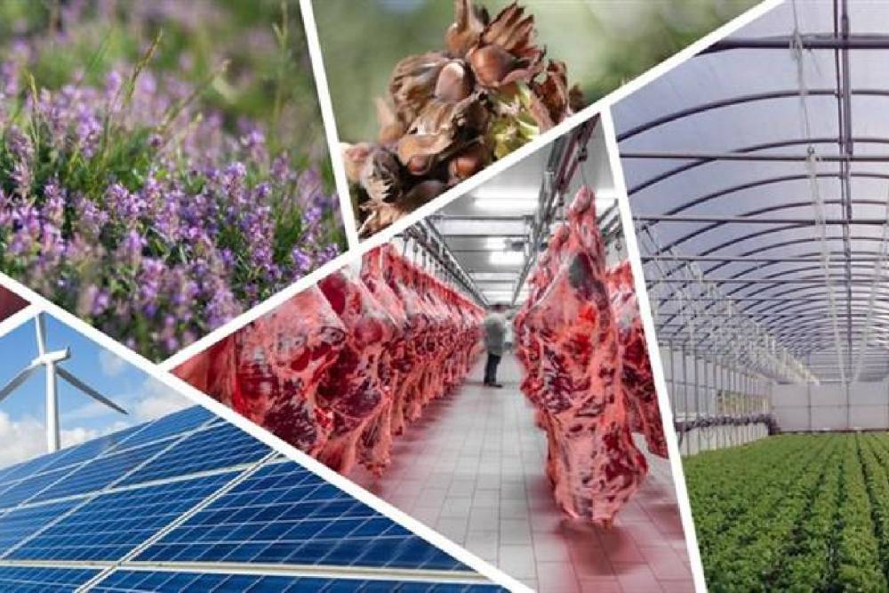 Kırsal kalkınma desteklerinde yeni d&ouml;nemde hibeler artırıldı