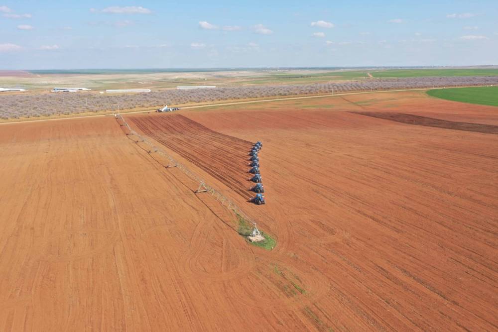 Ceylanpınar'da 123 bin dekar alanda ay&ccedil;i&ccedil;eği hasadı s&uuml;r&uuml;yor 