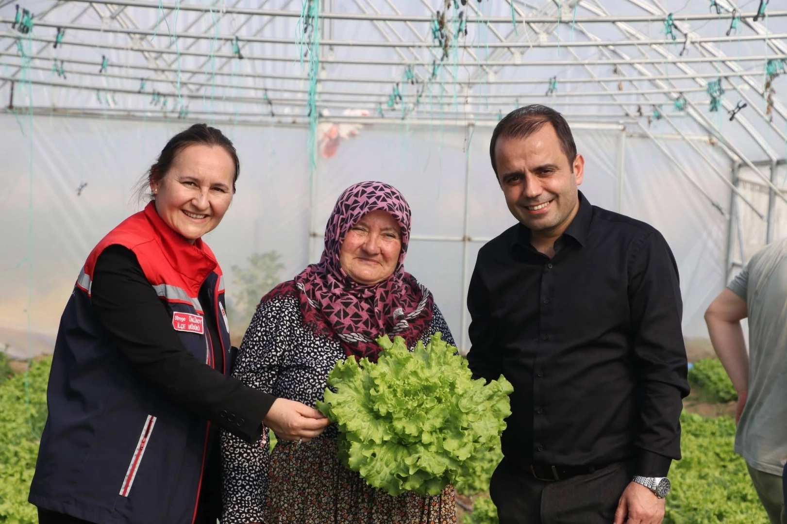  'Meryem Teyze'  hibe ile seracılığa başladı 