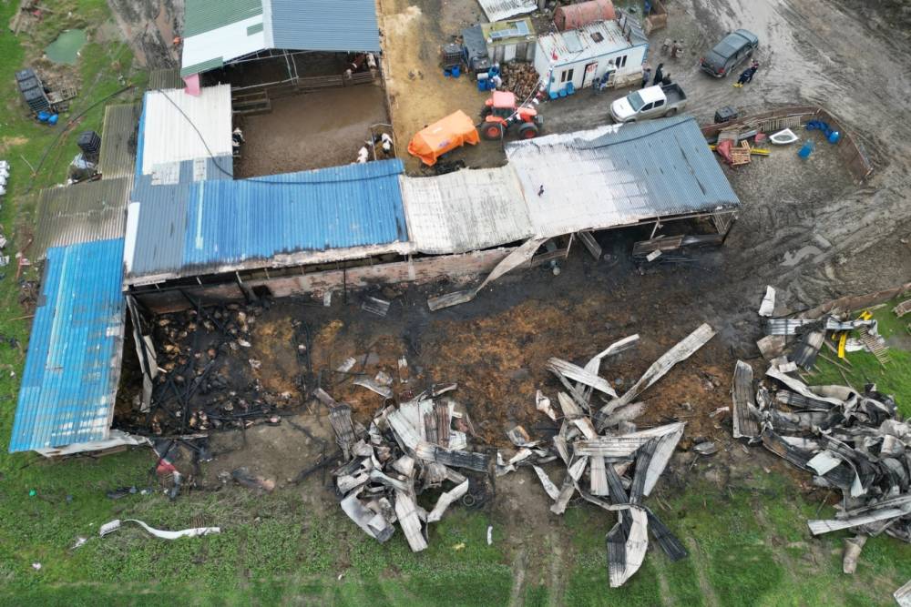 Ergene'de &ccedil;iftlik yangını: 60 k&uuml;&ccedil;&uuml;kbaş telef oldu