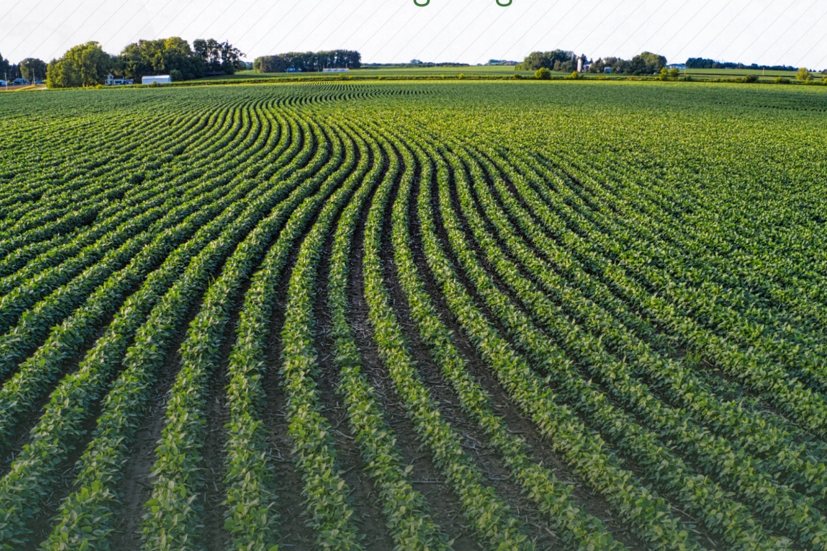 Tarım arazilerinin etkin kullanımı i&ccedil;in hibe desteği