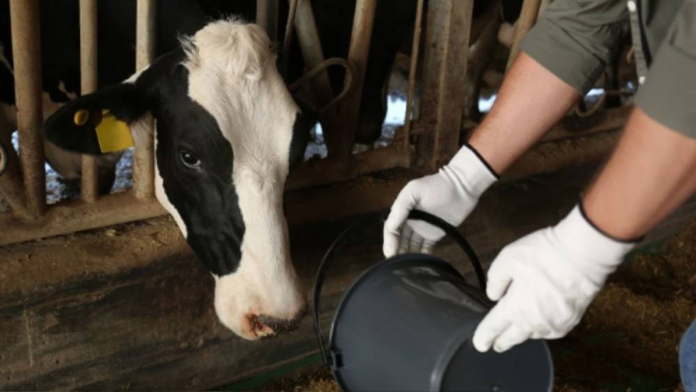 Tarım ve Orman Bakanlığı&rsquo;ndan hayvanlara k&ouml;t&uuml; muameleye ceza 