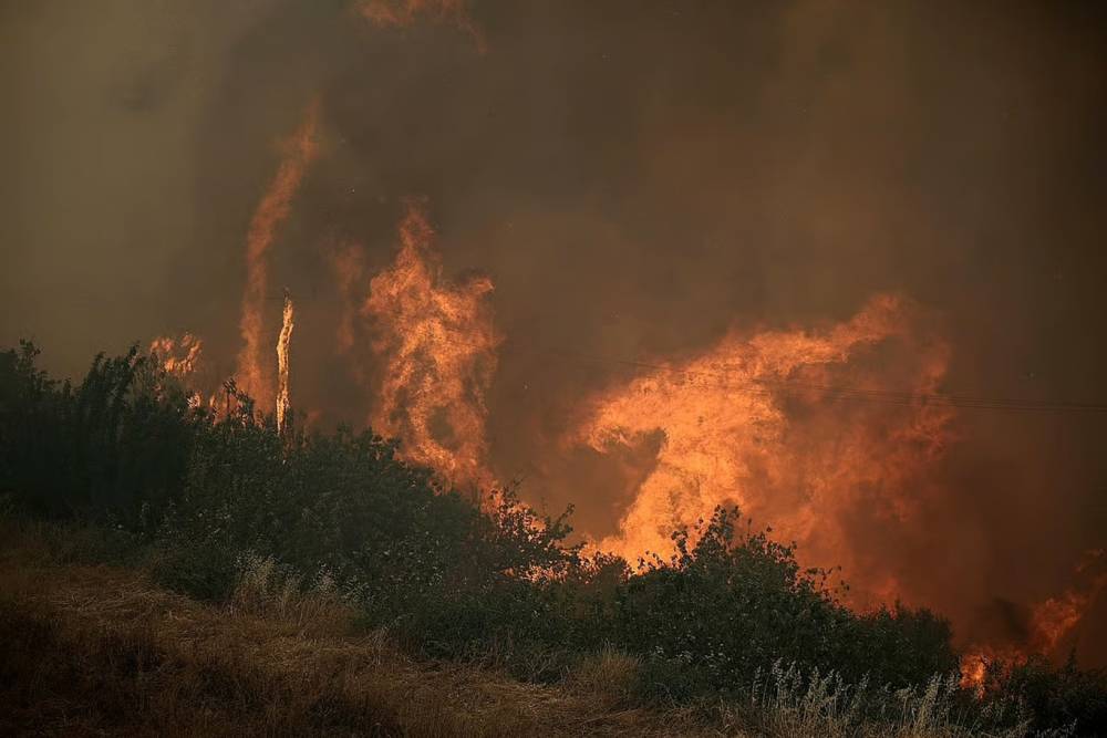 Şili'de orman yangınları: 15 &ouml;l&uuml;