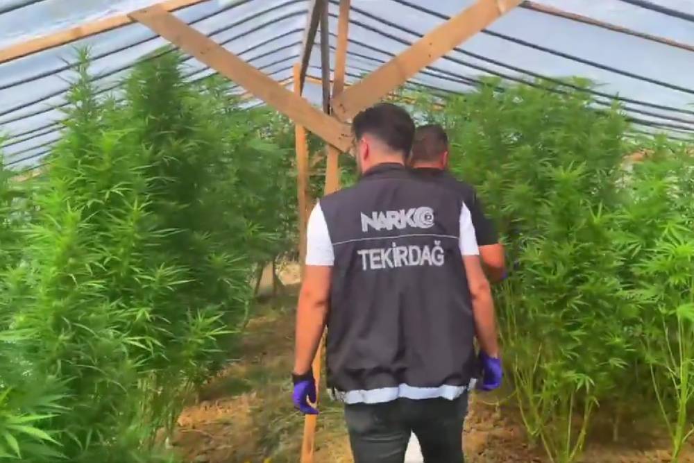 Tekirdağ'da bağ evine uyuşturucu operasyonu
