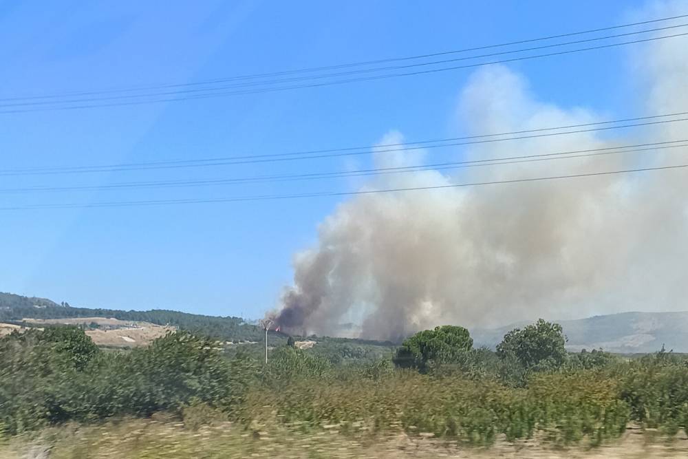 &Ccedil;anakkale Lapseki'de yangın