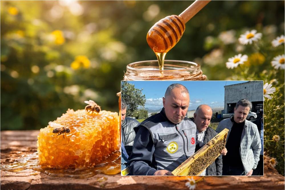 En &ccedil;ok bal &uuml;reten iller a&ccedil;ıklandı