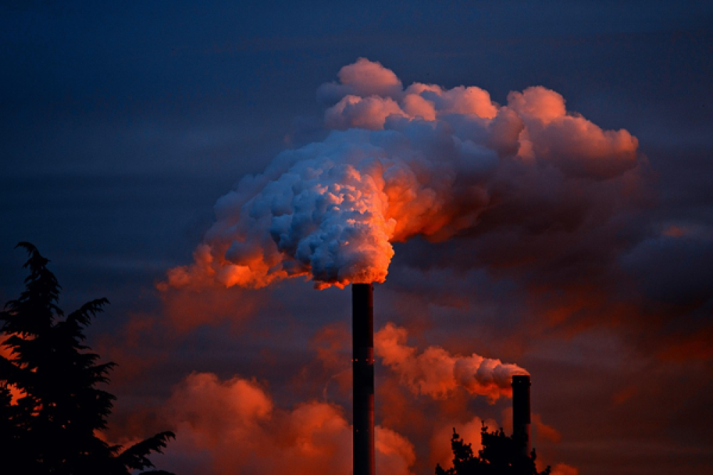 BM: &Ccedil;evre kirliliği her yıl yaklaşık 9 milyon &ouml;l&uuml;me neden oluyor