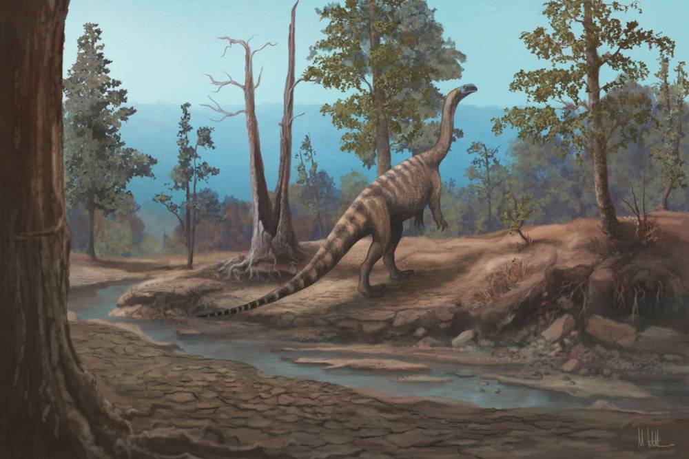 Araştırmacılar Zimbabve'de yeni bir dinozor t&uuml;r&uuml; keşfetti